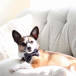 Meet your Posher, Kimberlee